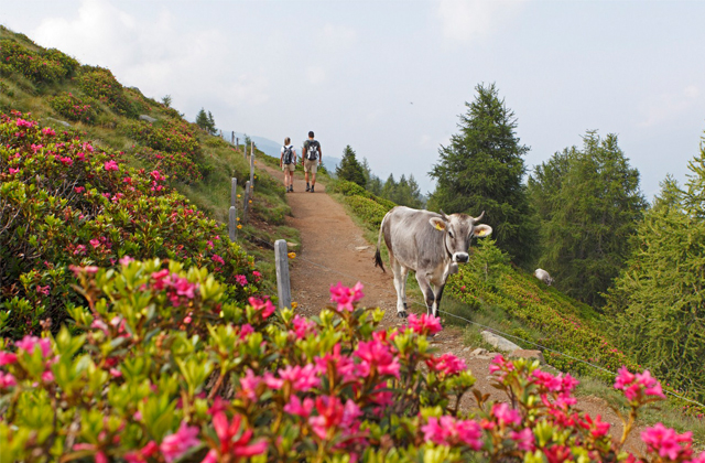 Wandern